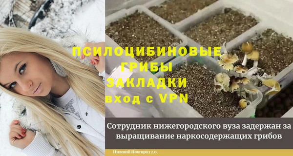 гидра Абинск