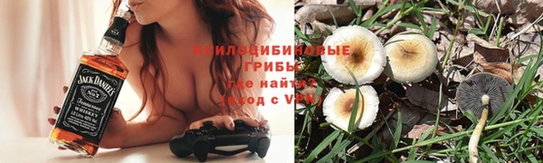 ALPHA PVP Алексин